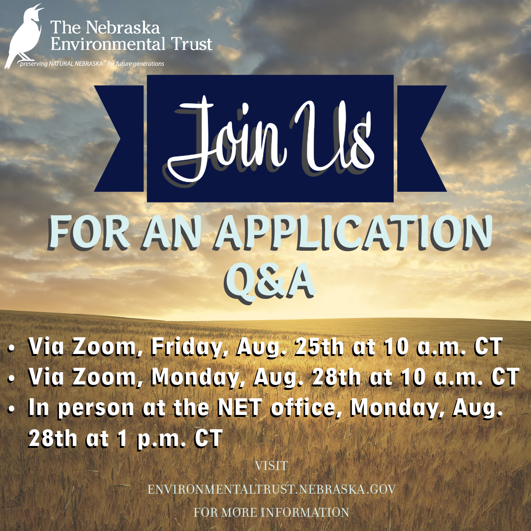 Join NET for an application Q & A Session - click for more details